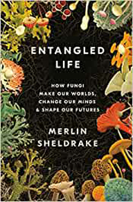entangled life