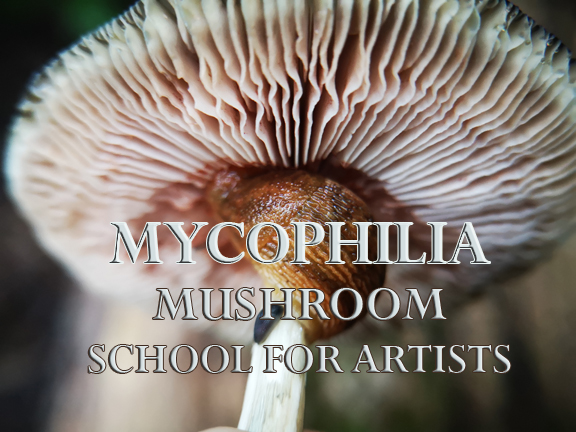 mycophilia